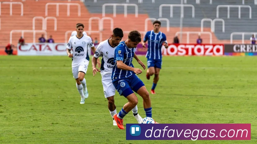 大发官网平台生态图